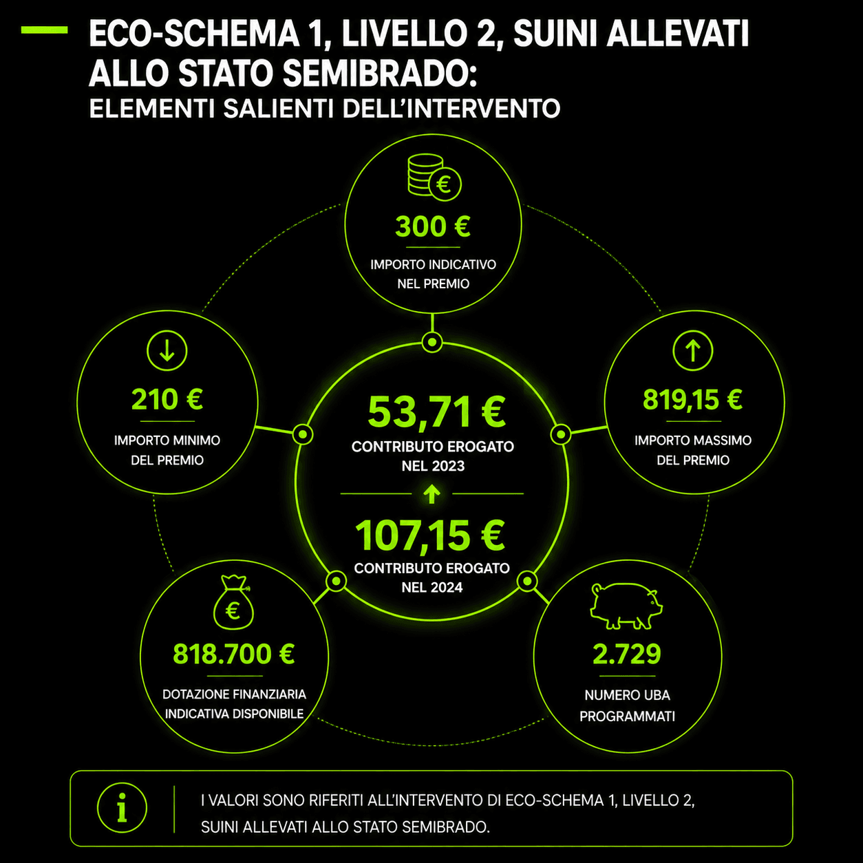 Suini allevati allo stato brado