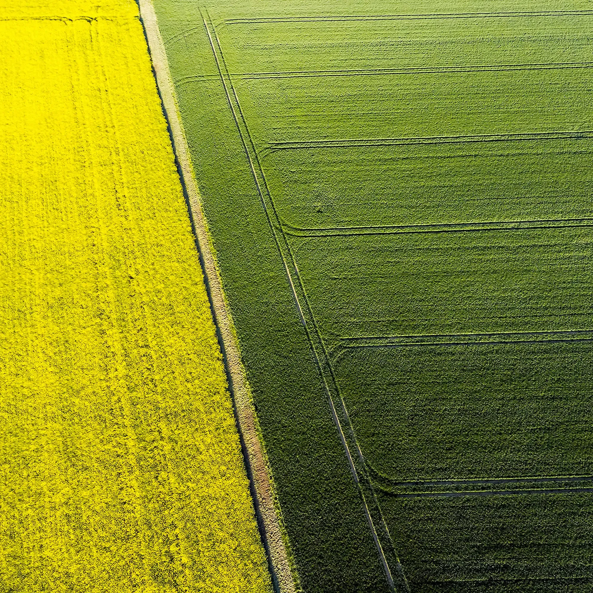 Carta Nazionale dell'Uso del Suolo e agrifotovoltaico: Agea aggiunge un nuovo livello
