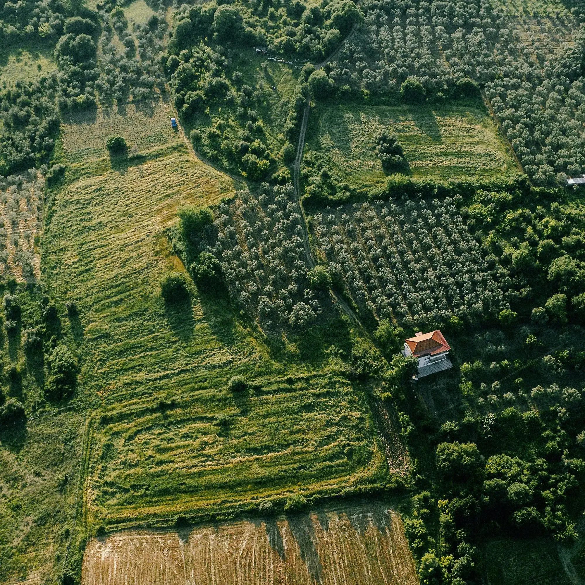 La corte dei conti promuove agea: spinta innovativa e prevenzione test modifica titolo