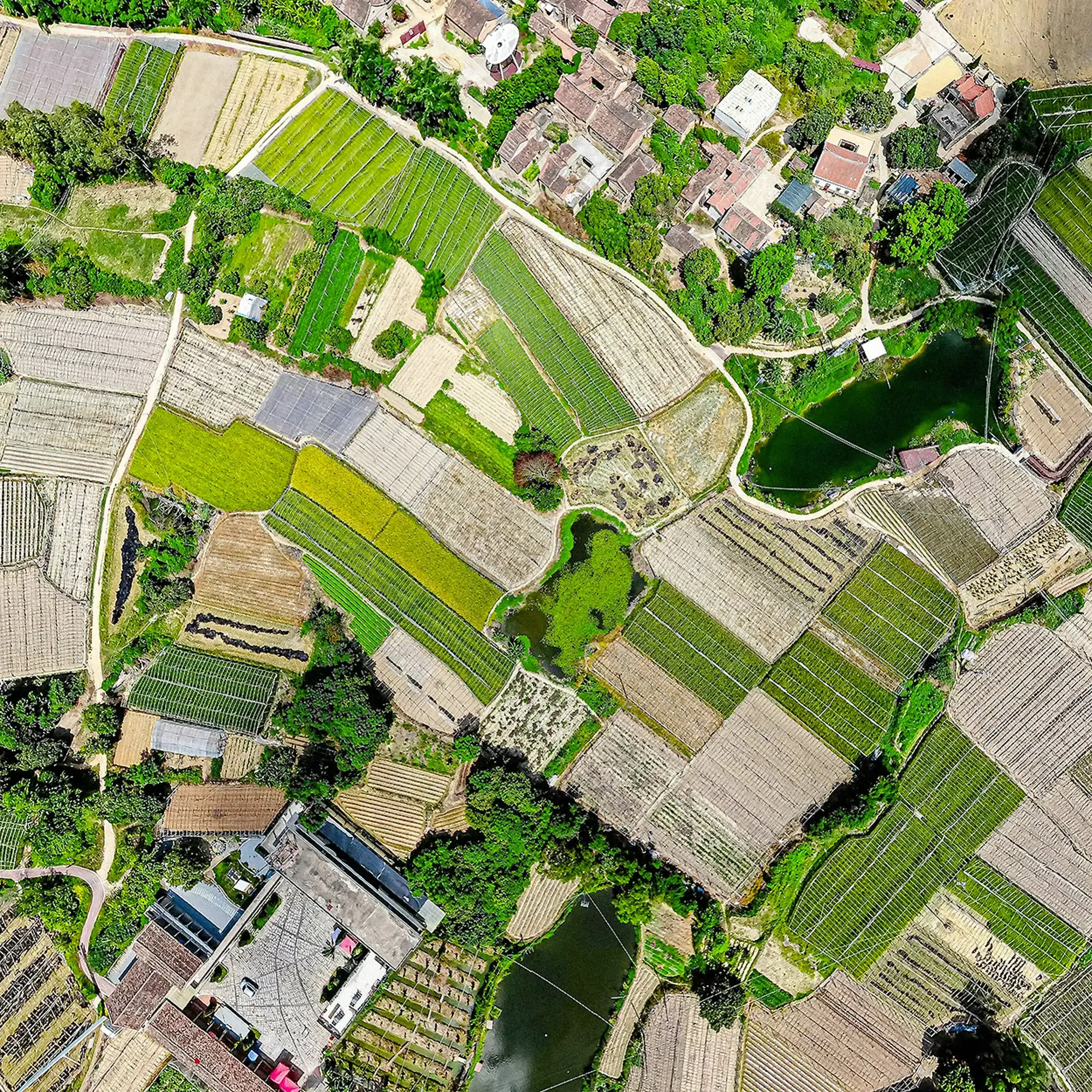 Domande di fondi agricoli UE perfette con l’AMS, Area Monitoring System