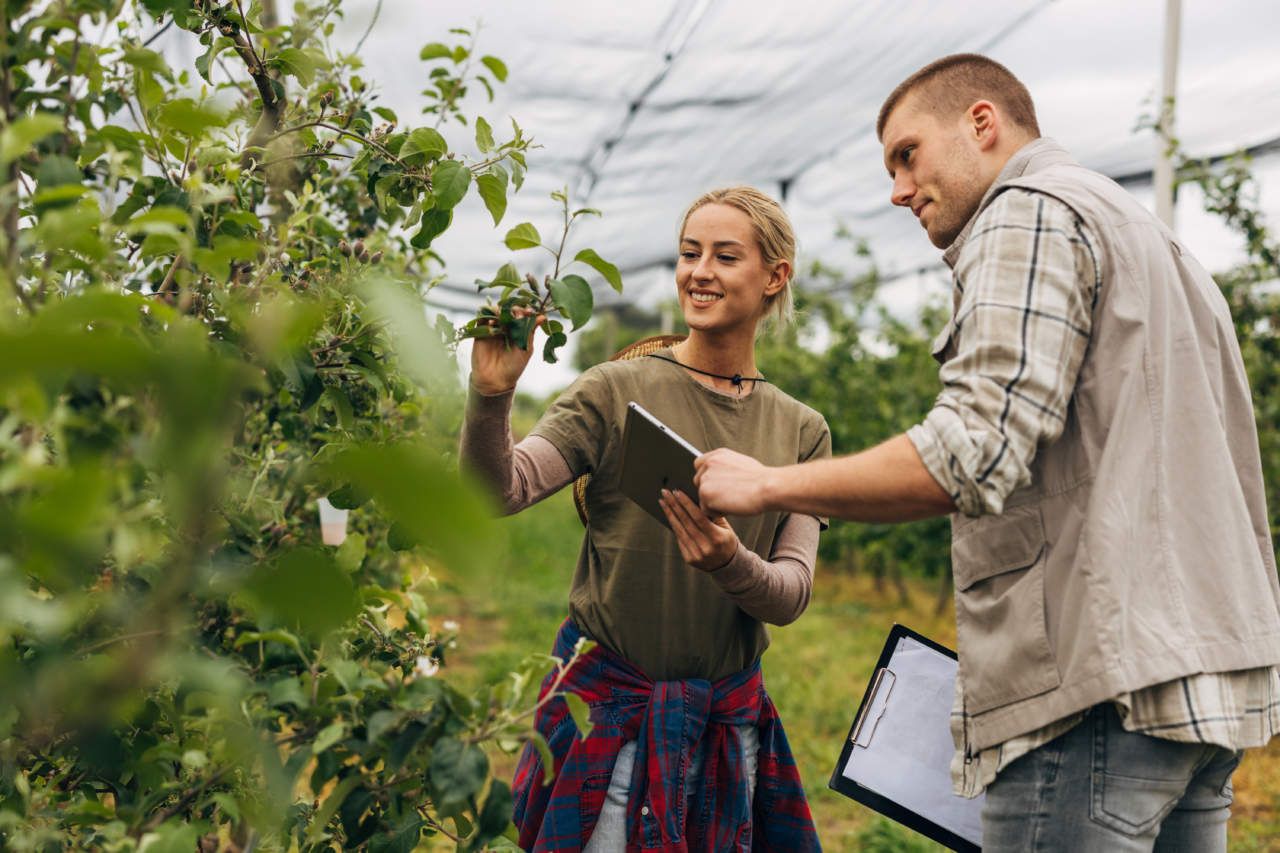 Il sostegno PAC ai giovani agricoltori: premi più alti ma le domande continuano a calare